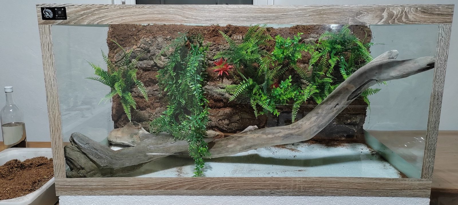 Rainforest postavka
